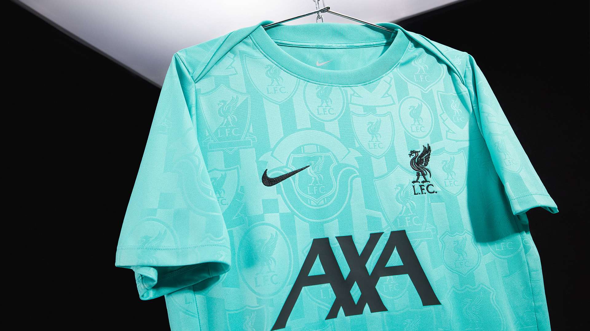 给我们提供 给我们提供